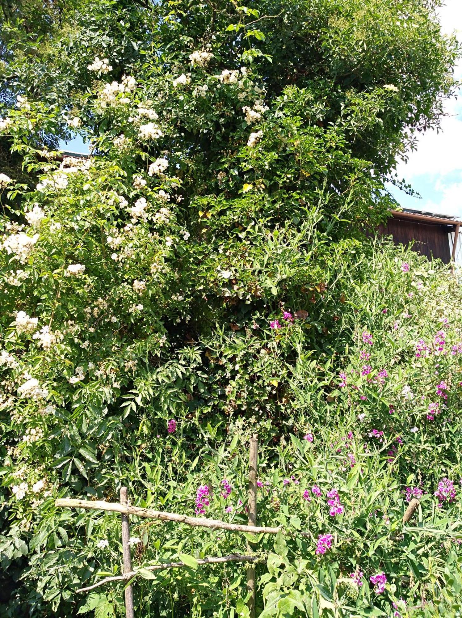 Landhaus Fohlenhof Mehrstetten Exterior foto